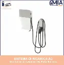 V2C DENKA CABLE CCS 