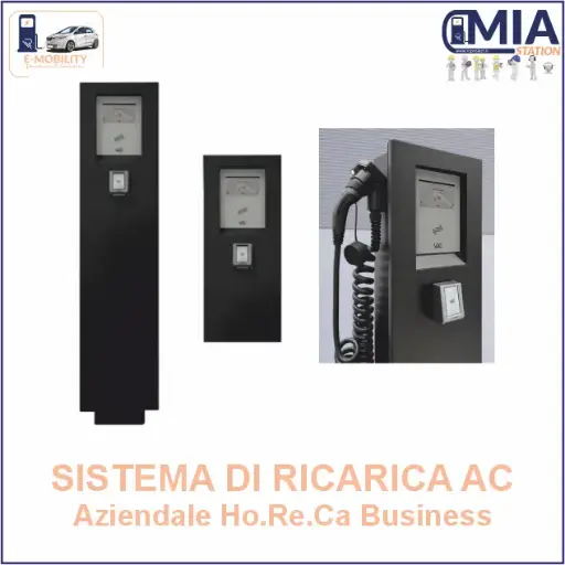 V2C POLEPRO+POS