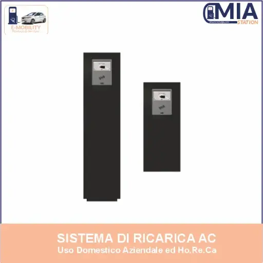 V2C POLE PRO X2 ( WB / CE) (7.4/22 kw) 