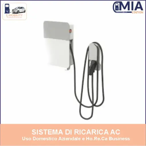 V2C DENKA CABLE CCS 